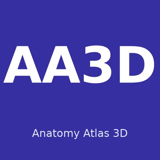 Anatomy Atlas 3D logo